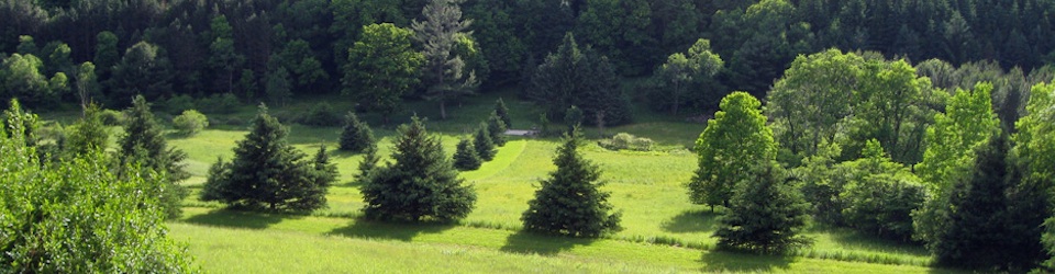 Overlooking valley_cropped