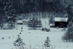 Farmhouse and barn