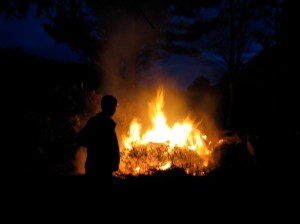 Controlled burn of 2009