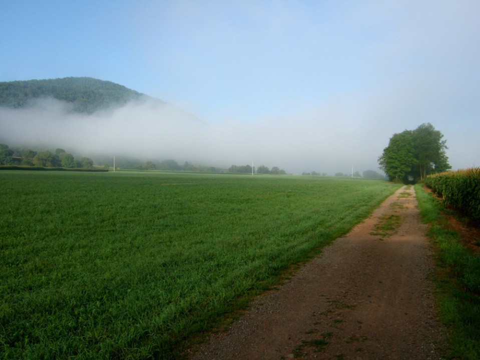 Catskill Scenic Trail