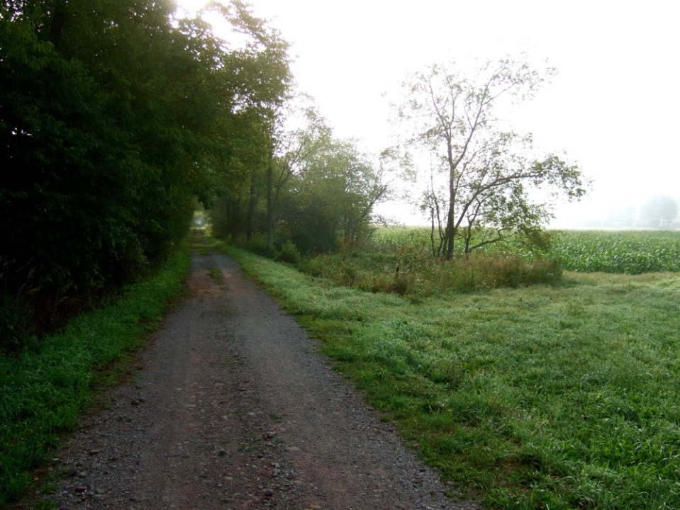 Catskill Scenic Trail