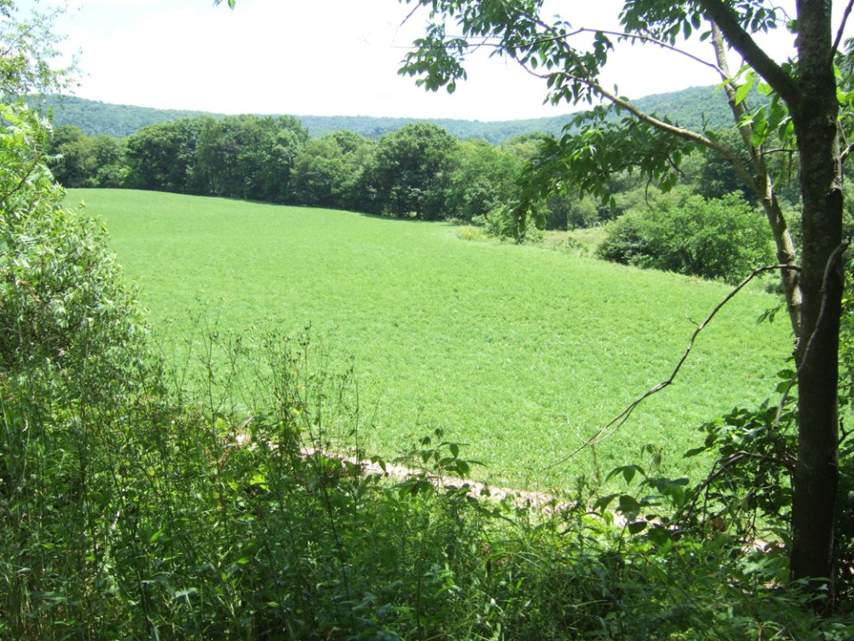 Catskill Scenic Trail