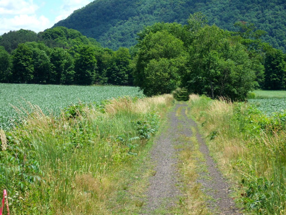 Catskill Scenic Trail