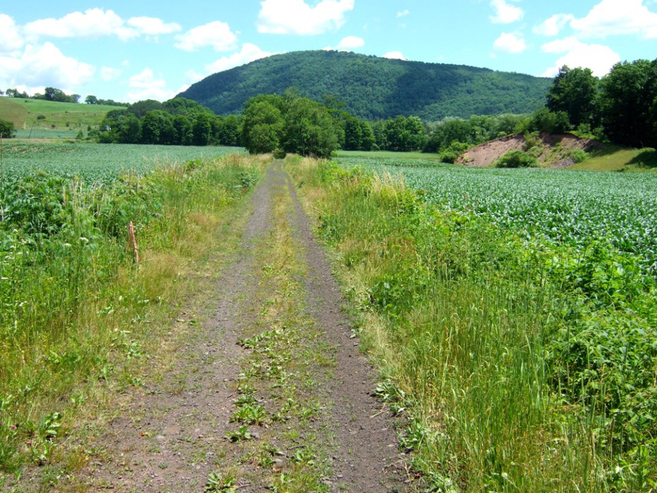 Catskill Scenic Trail