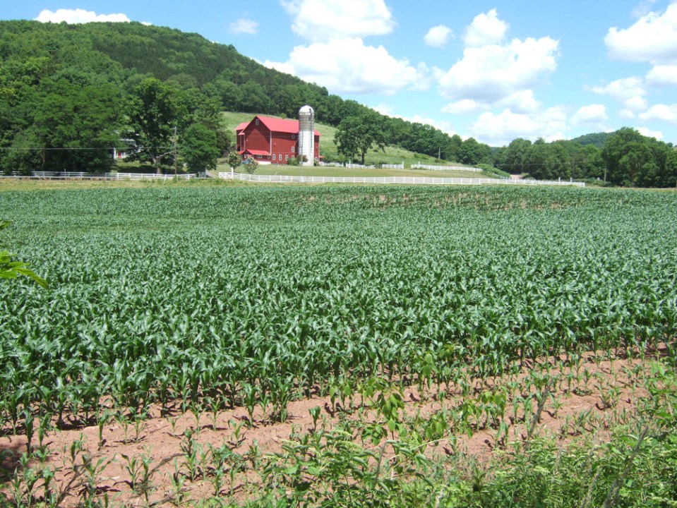 Catskill Scenic Trail