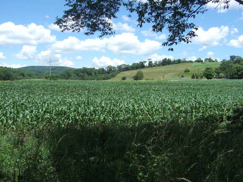 Catskill Scenic Trail