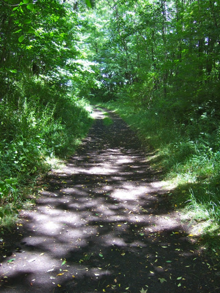 Catskill Scenic Trail