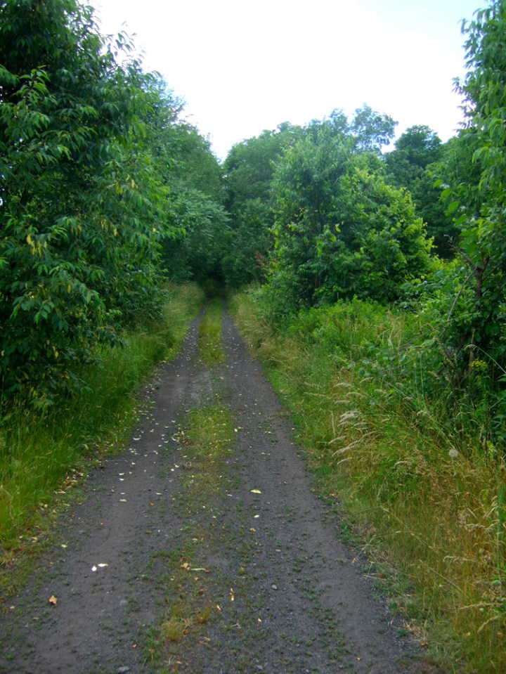 Catskill Scenic Trail