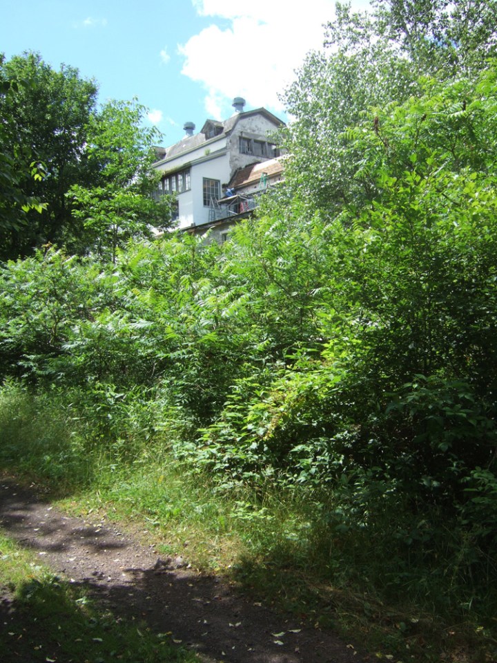 Catskill Scenic Trail