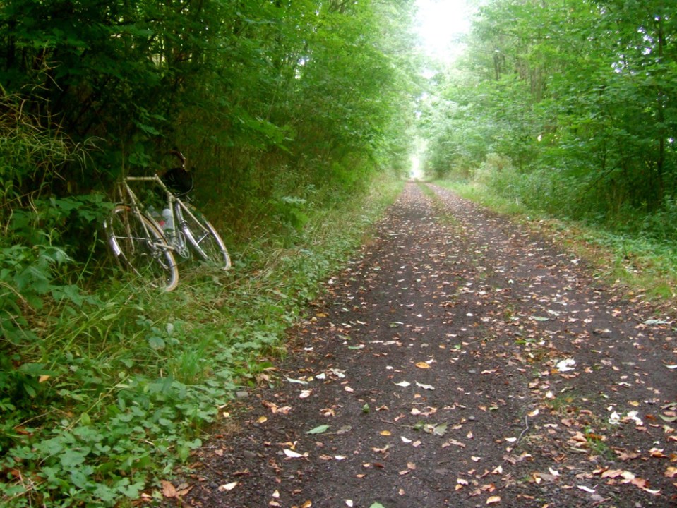 Catskill Scenic Trail