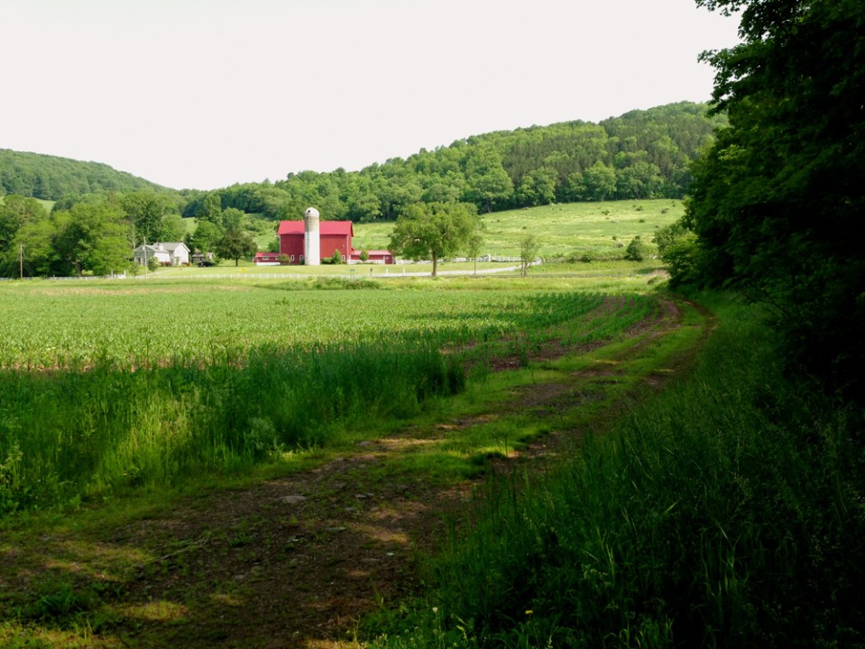 Catskill Scenic Trail