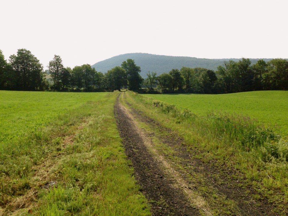 Catskill Scenic Trail