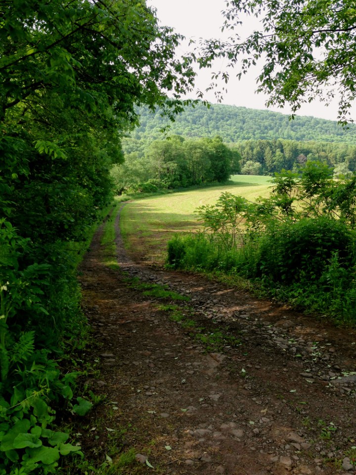 Catskill Scenic Trail