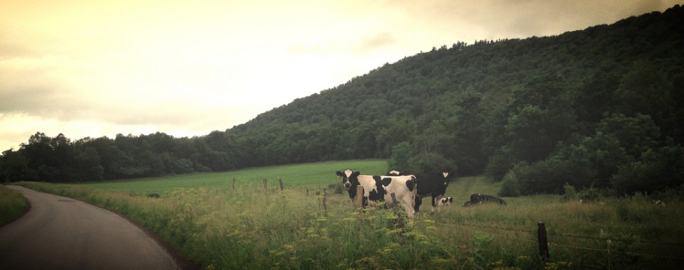 Biking in the Catskills