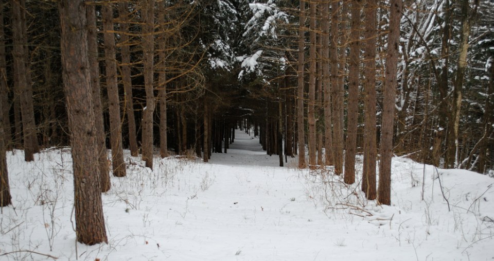 Willie' s Way heading east