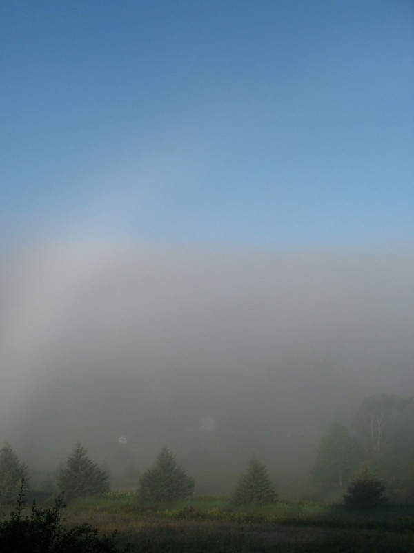 Zelený Les enshrouded