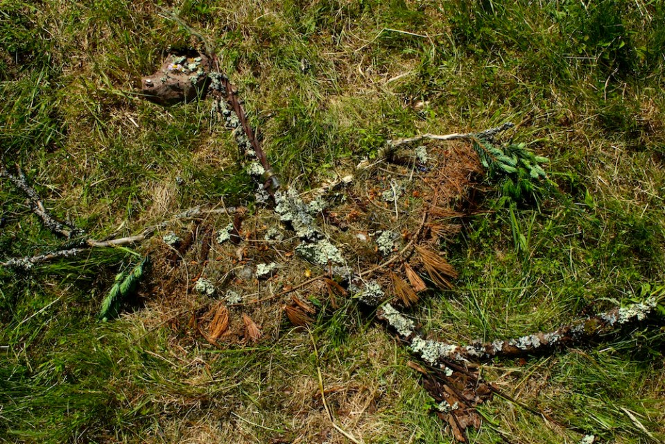 Dennis Friedler_portrait3