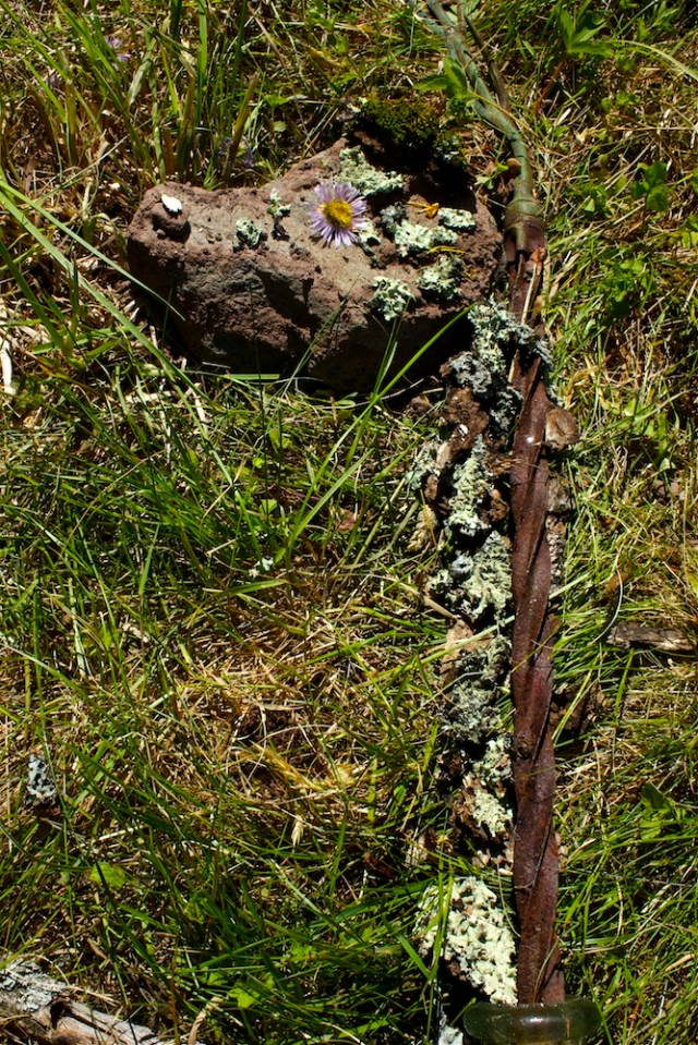 Dennis Friedler_portrait5