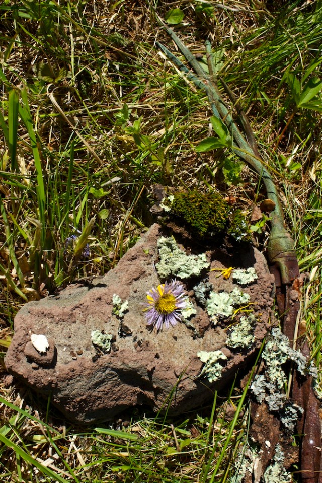 Dennis Friedler_portrait6