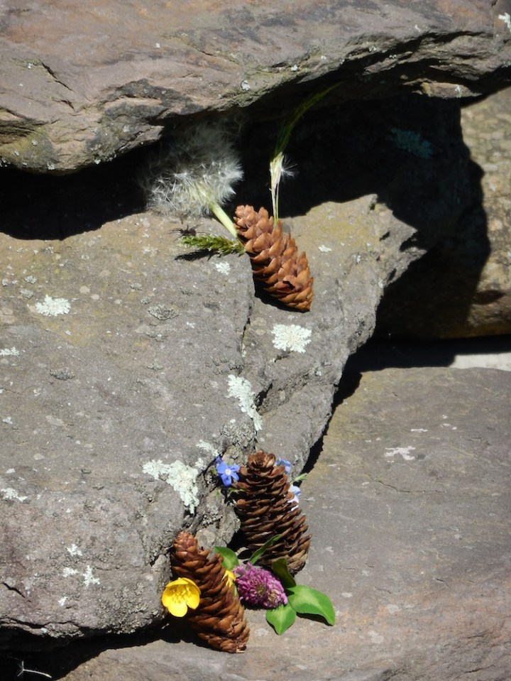 Gretchen Hayden_portrait2