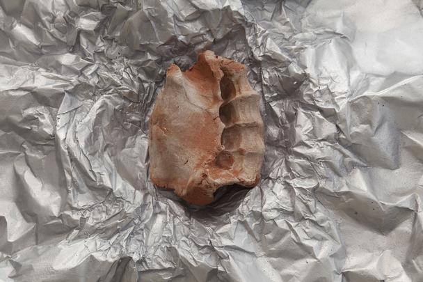 Giuseppe Penone_Avvolgere la terra_to enfold the earth