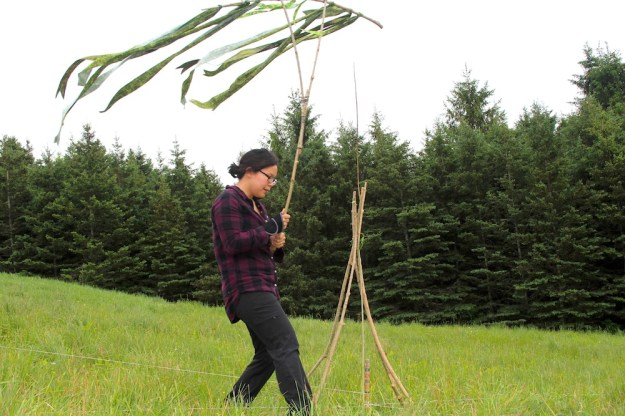 IMG_0068_color_resize