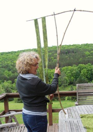 IMG_0088_resize_crop