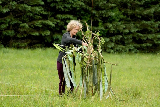 IMG_1862_color_resize