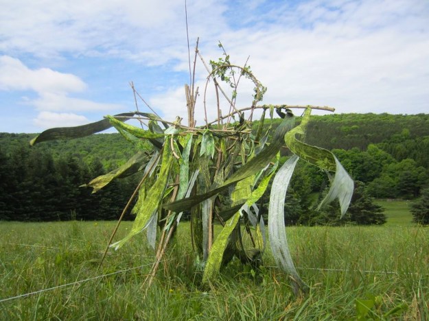 Merridee LaMantia performance object